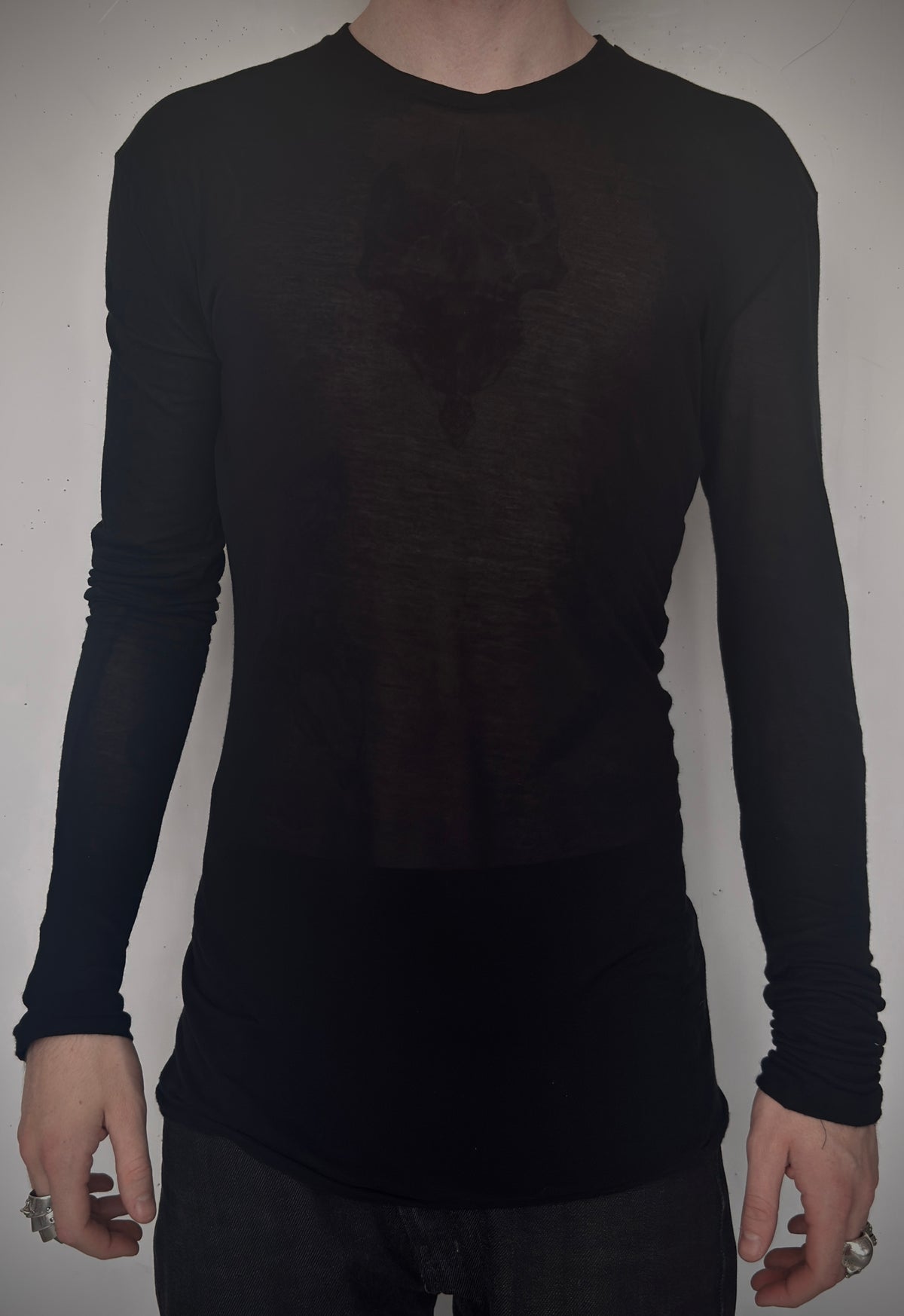 Sheer Long Sleeve Shirt